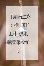湖南江永：抢“鲜”上市 供港蔬菜采收忙