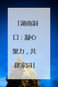 湖南洞口：凝心聚力，共建家园