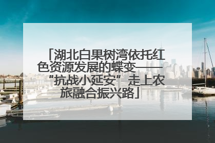 湖北白果树湾依托红色资源发展的蝶变——“抗战小延安”走上农旅融合振兴路