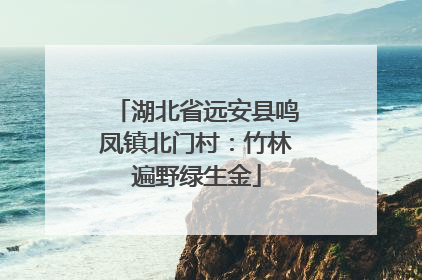 湖北省远安县鸣凤镇北门村：竹林遍野绿生金
