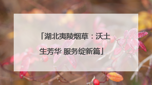湖北夷陵烟草：沃土生芳华 服务绽新篇