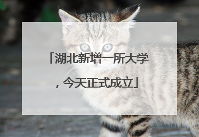 湖北新增一所大学，今天正式成立