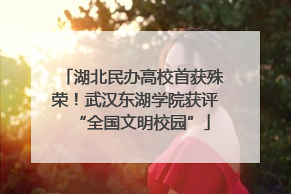 湖北民办高校首获殊荣！武汉东湖学院获评“全国文明校园”