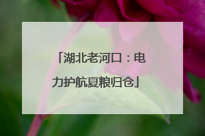 湖北老河口：电力护航夏粮归仓