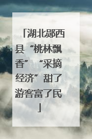 湖北郧西县“桃林飘香”“采摘经济”甜了游客富了民