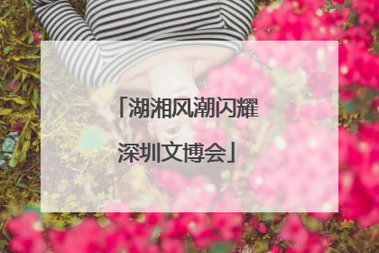 湖湘风潮闪耀深圳文博会