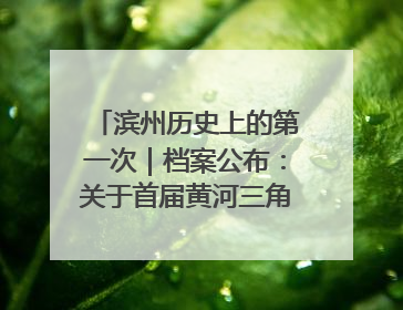 滨州历史上的第一次｜档案公布：关于首届黄河三角洲城市经济博览会暨发展论坛情况的总结报告