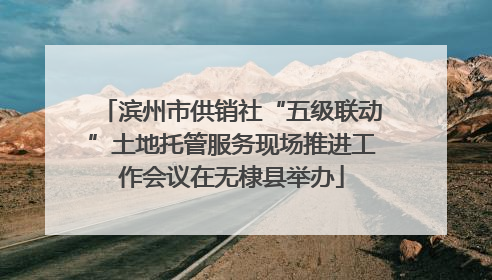 滨州市供销社“五级联动”土地托管服务现场推进工作会议在无棣县举办