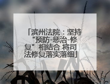 滨州法院：坚持“预防-惩治-修复”相结合 将司法修复落实落细