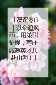 漫评枣庄｜以伞遮风雨，用策引征程，枣庄诚邀英才共赴山海！