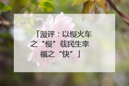 漫评：以慢火车之“慢”载民生幸福之“快”