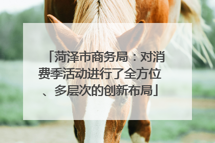 菏泽市商务局：对消费季活动进行了全方位、多层次的创新布局