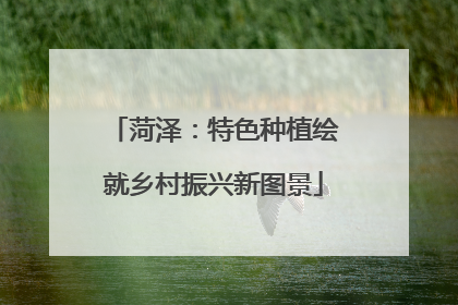 菏泽：特色种植绘就乡村振兴新图景