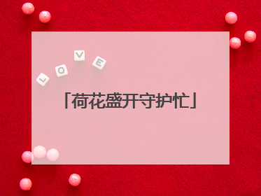 荷花盛开守护忙
