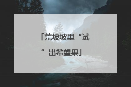荒坡坡里“试”出希望果