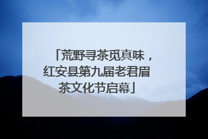 荒野寻茶觅真味，红安县第九届老君眉茶文化节启幕