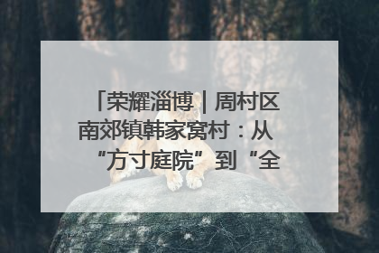 荣耀淄博｜周村区南郊镇韩家窝村：从“方寸庭院”到“全域文明”，乡村振兴的“美学革命”