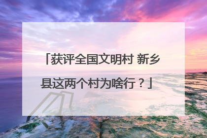 获评全国文明村 新乡县这两个村为啥行？