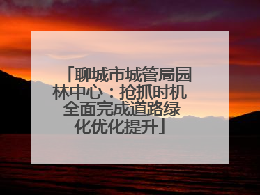 聊城市城管局园林中心：抢抓时机 全面完成道路绿化优化提升