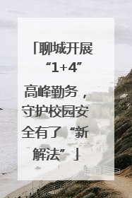 聊城开展“1+4”高峰勤务，守护校园安全有了“新解法”