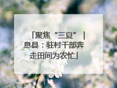 聚焦“三夏”｜息县：驻村干部奔走田间为农忙