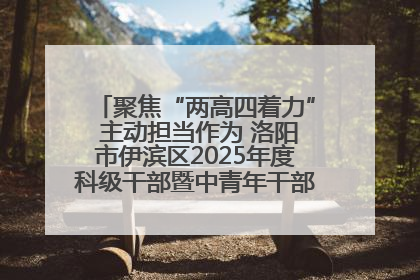 聚焦“两高四着力” 主动担当作为 洛阳市伊滨区2025年度科级干部暨中青年干部培训班开班