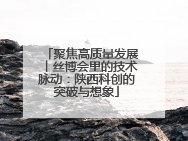 聚焦高质量发展丨丝博会里的技术脉动：陕西科创的突破与想象