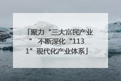 聚力“三大富民产业” 不断深化“1131”现代化产业体系