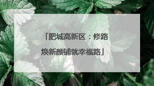 肥城高新区：修路焕新颜铺就幸福路