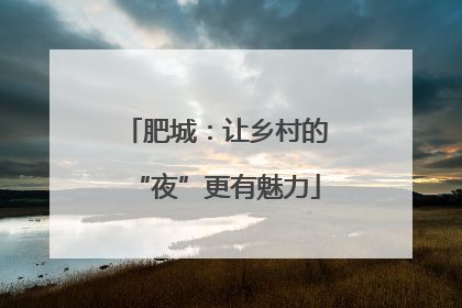 肥城：让乡村的“夜”更有魅力
