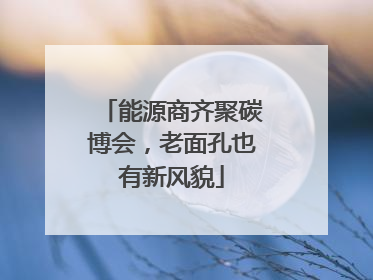 能源商齐聚碳博会，老面孔也有新风貌