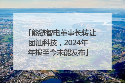 能链智电董事长转让团油科技，2024年年报至今未能发布