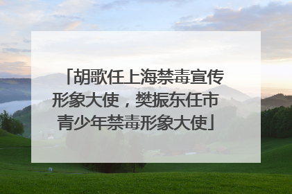 胡歌任上海禁毒宣传形象大使，樊振东任市青少年禁毒形象大使