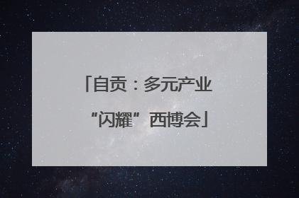 自贡：多元产业“闪耀”西博会