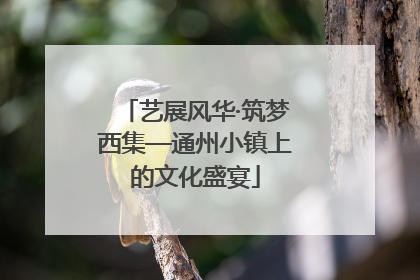 艺展风华·筑梦西集—通州小镇上的文化盛宴