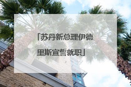 苏丹新总理伊德里斯宣誓就职