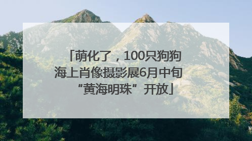 萌化了，100只狗狗海上肖像摄影展6月中旬“黄海明珠”开放