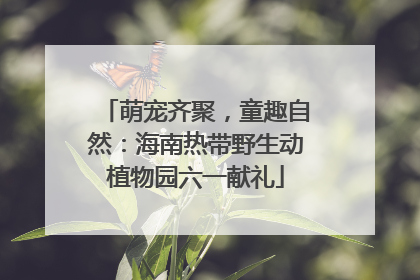 萌宠齐聚，童趣自然：海南热带野生动植物园六一献礼