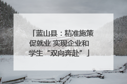 蓝山县：精准施策促就业 实现企业和学生“双向奔赴”