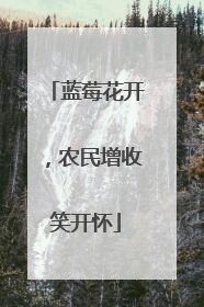 蓝莓花开，农民增收笑开怀