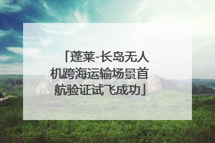 蓬莱-长岛无人机跨海运输场景首航验证试飞成功