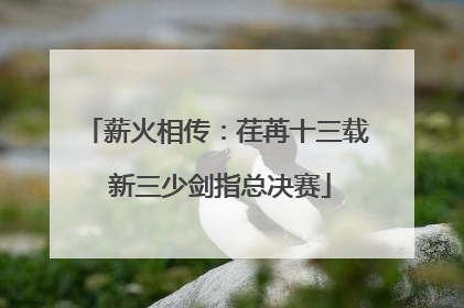 薪火相传：荏苒十三载 新三少剑指总决赛