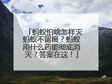 蚂蚁怕啥怎样灭蚂蚁不留痕？蚂蚁用什么药能彻底消灭？答案在这！