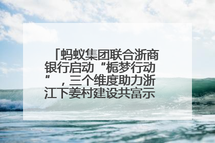 蚂蚁集团联合浙商银行启动“栀梦行动”，三个维度助力浙江下姜村建设共富示范区示范点