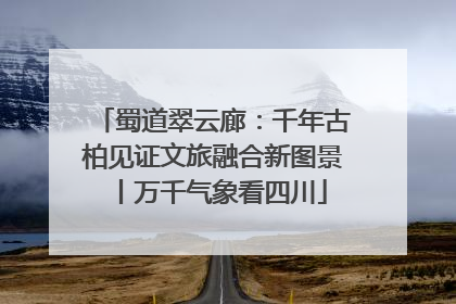 蜀道翠云廊：千年古柏见证文旅融合新图景丨万千气象看四川