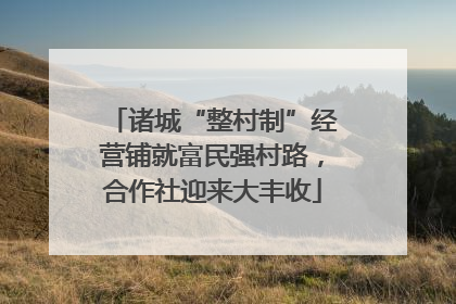 诸城“整村制”经营铺就富民强村路，合作社迎来大丰收