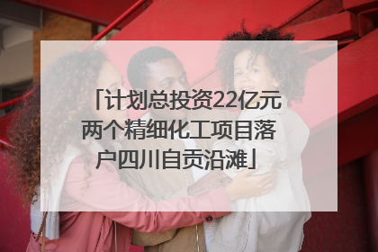 计划总投资22亿元 两个精细化工项目落户四川自贡沿滩