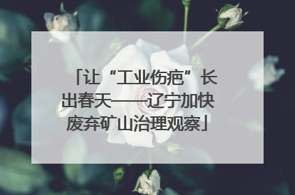 让“工业伤疤”长出春天——辽宁加快废弃矿山治理观察