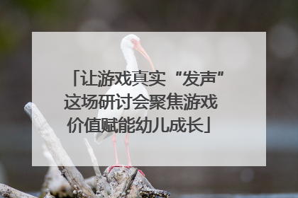 让游戏真实“发声” 这场研讨会聚焦游戏价值赋能幼儿成长