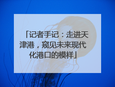 记者手记：走进天津港，窥见未来现代化港口的模样